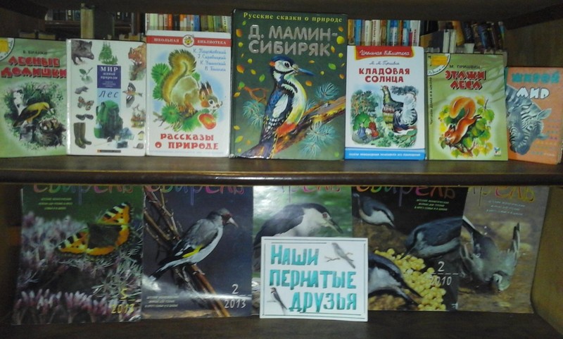 Наши пернатые друзья